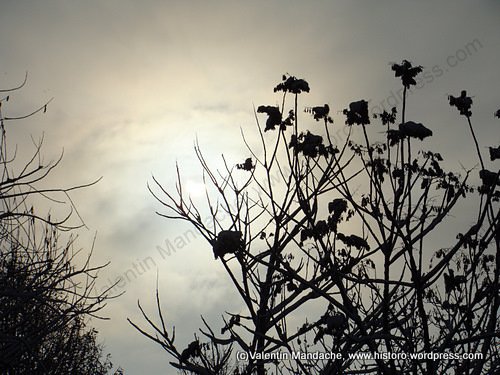 Bucharest solar eclipse: 4 Jan '11, 8:23h GMT