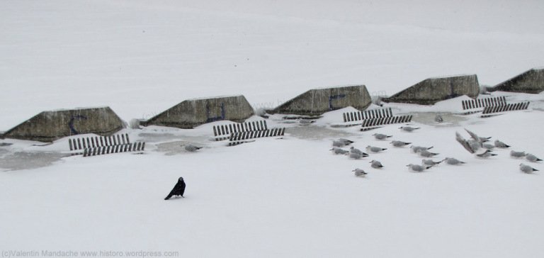Winter blizzard in Bucharest